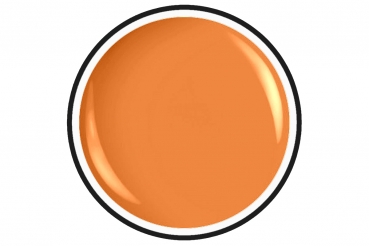 Nailart Colour Gel Mango Nr 17 5 ml